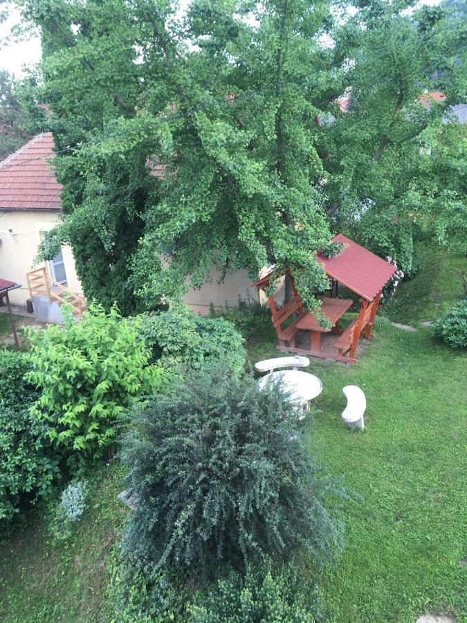 Bogoly Apartman Tokaj Exterior foto
